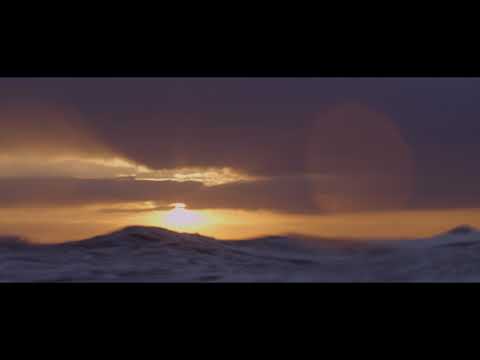 Video thumbnail for The Heart of the Wave