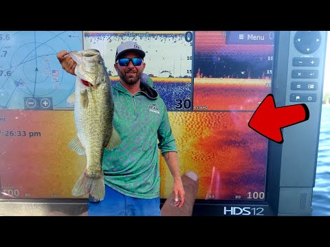 How to Find the Right Spot to Catch Big Bass in Summertime - Blue Gill Spawning in deep water 2021