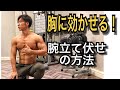 【大胸筋に効く】【初心者必見】【自宅で出来る腕立て伏せ】