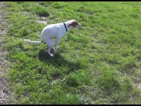 Bjoern Peng - Rock'n'Roul