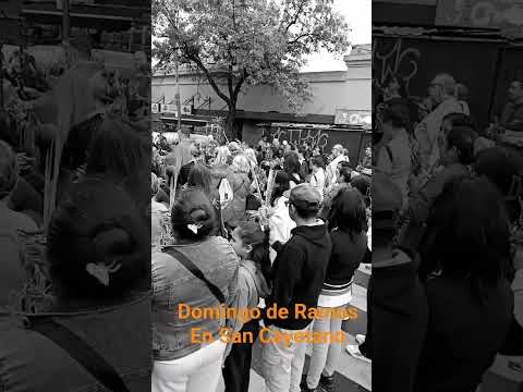 Domingo de Ramos en el Santuario de San Cayetano en Liniers #blancoynegro #sancayetano #domingo