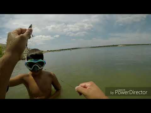 download lagu mp3 mp4 Dauphin Engagement Ring, download lagu Dauphin Engagement Ring gratis, unduh video klip Dauphin Engagement Ring