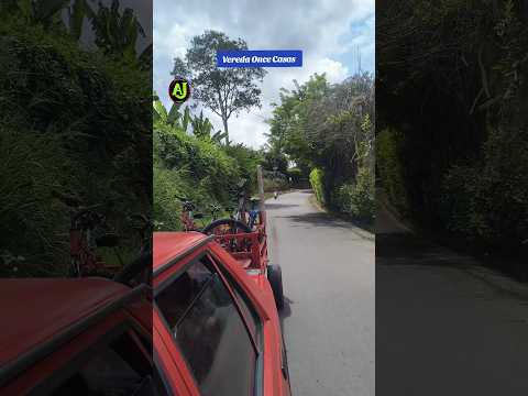 🛣️Corredor vial Pueblo Tapao—Once Casa #montenegroquindio #ajcomunica 🇨🇴
