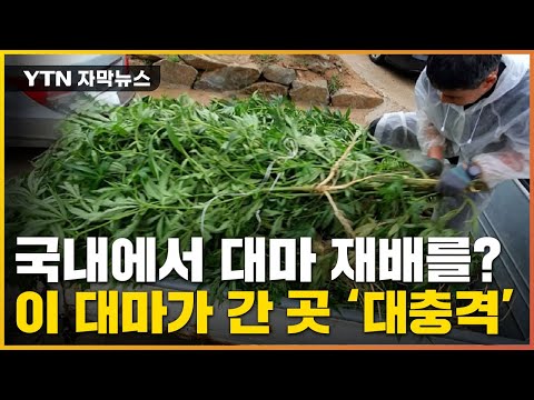 아이콘