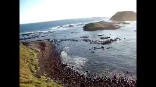 preview picture of video 'Vacation Australia: Phillip Island - Victoria - Australia'