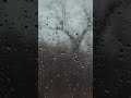 Rain Shorts Rain Shorts Short Shortvideo Heavyrain