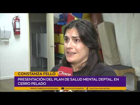 Constanza Felló, COORDINADORA PLAN DEPTAL. DE SALUD MENTAL
