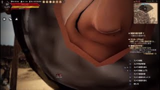 黒い砂漠　PS4 出来る男のティクビチェック