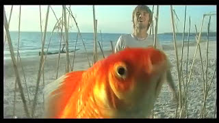 Daniele Groff "Everyday" - Official Video in High Quality