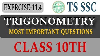 Trigonometry Exercise-11.4|Class 10th|Most important questions|#trigonometryclass10 #tsssc #exams