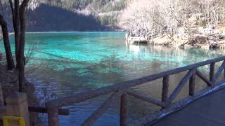 preview picture of video 'Jiuzhaigou Five-coloured Lake 九寨溝五花海'