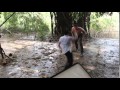 Kickboxer Vengeance