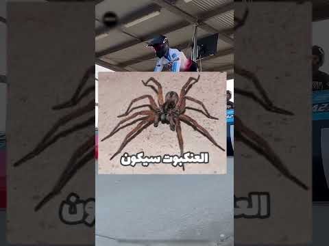 #shorts خطأ أثناء سباق ركوب الدراجات 🚴‍♂️❌