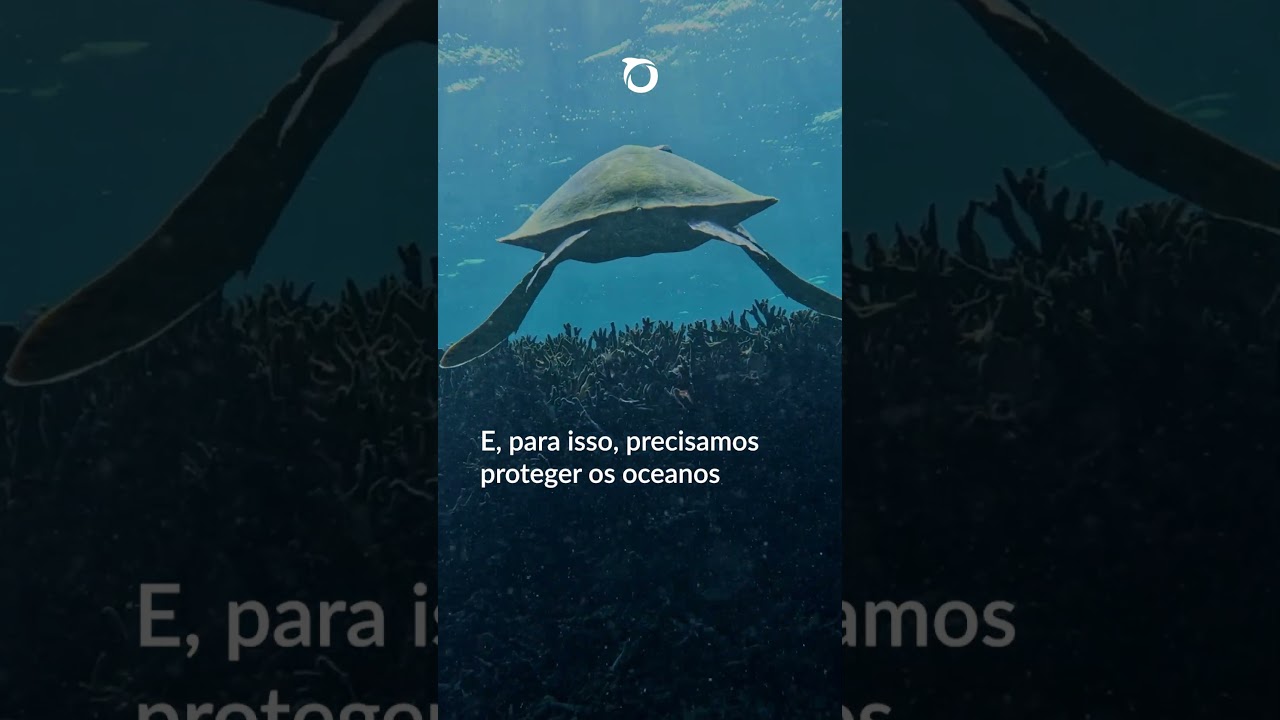 #DiaDaTerra