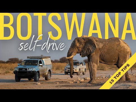15 TOP TIPS for self-driving in Botswana!