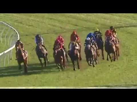 FLIGHT STAKES 2015 - Speak Fondly