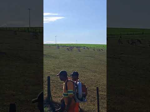 três barras do Paraná.