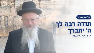 תודה רבה לך ה׳ יתברך | הרב שמואל אליהו | הלכה יומית | ח׳ טבת תשפ״ו (הרב שמואל אליהו) - התמונה מוצגת ישירות מתוך אתר האינטרנט יוטיוב. זכויות היוצרים בתמונה שייכות ליוצרה. קישור קרדיט למקור התוכן נמצא בתוך דף הסרטון