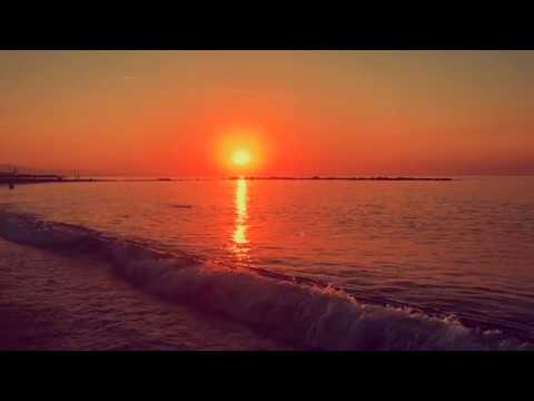 12Tree Edit - Cigarettes after Sex with George harrison