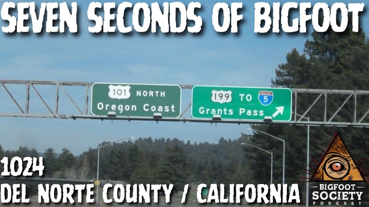 I Drove Past Something Massive on a Dark California Mountain Road!