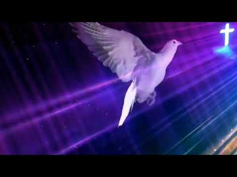 Nyanyian GPM 249 _ Yesus mengajak + INSTRUMENTALNYA