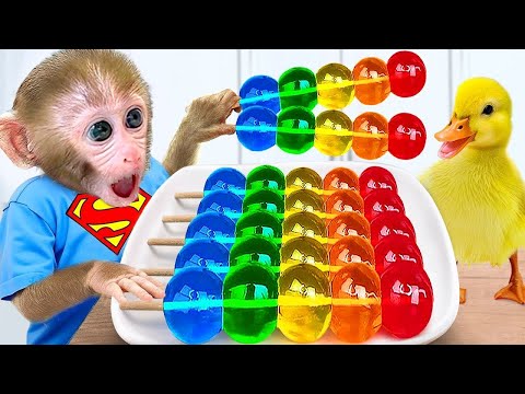 Monkey Baby Bon Bon drives a car and plays with puppy and duckling by the track | Bon Bon Indonesian