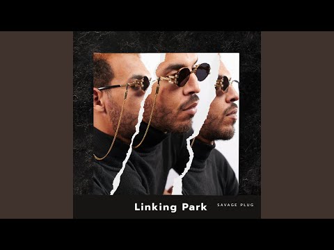 Linking Park