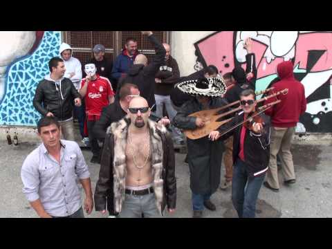 Raspjevane guje - Rodbinske veze