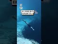 Plunged into the unknown at the Blue Hole 🌊😨🕳️                 🎥: TikTok / camilajaber__