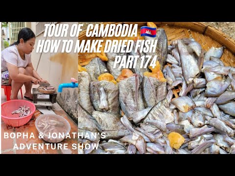 How To Make Dried Fish 🇰🇭 Part 174 Tour of Cambodia 2022 @The Bopha & Jonathan's Adventure Show