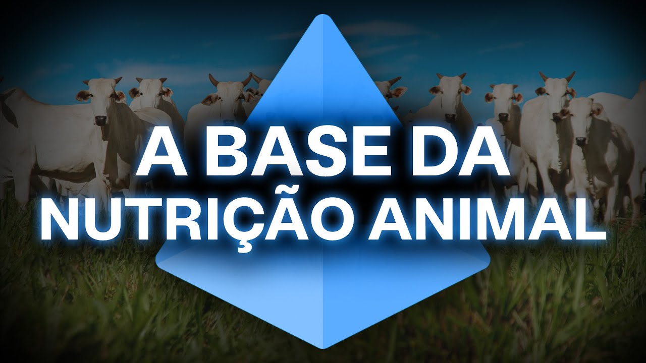 A base da nutrição animal!