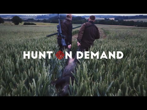 Weizensauen | Chancen nutzen! 3.0 – die ersten 6 Minuten @jagdkrone Hunt on Demand Trailer