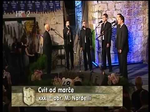 Cvit od Mrče - klapa Sebeniko - FDK 2014