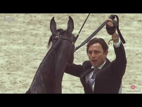 N 33 PAPROTNIA   Paris 2019   Junior Fillies Class 2A