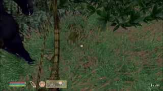 Let's Play Oblivion Part 78 - The Offroading Horseman