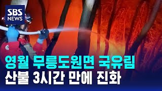 영월 무릉도원면 국유림 산불 3시간 만에 진화 / SBS