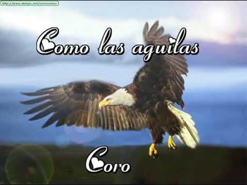 Como Las Águilas - Músicas Católicas
