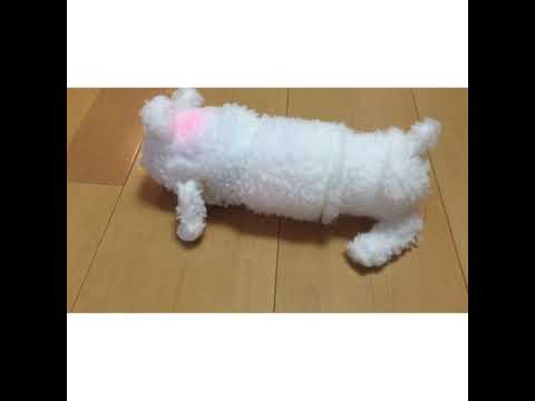 美術学科 褒めて伸ばすしろいの