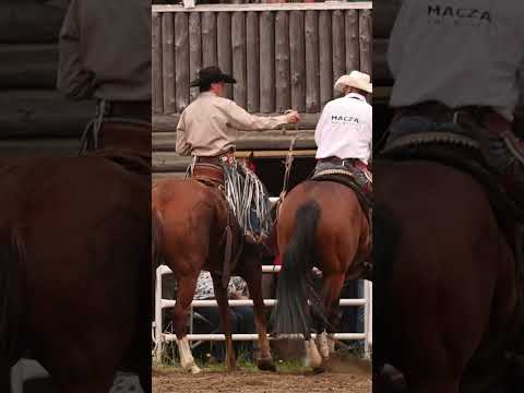 Pull your own darn flank 🫣