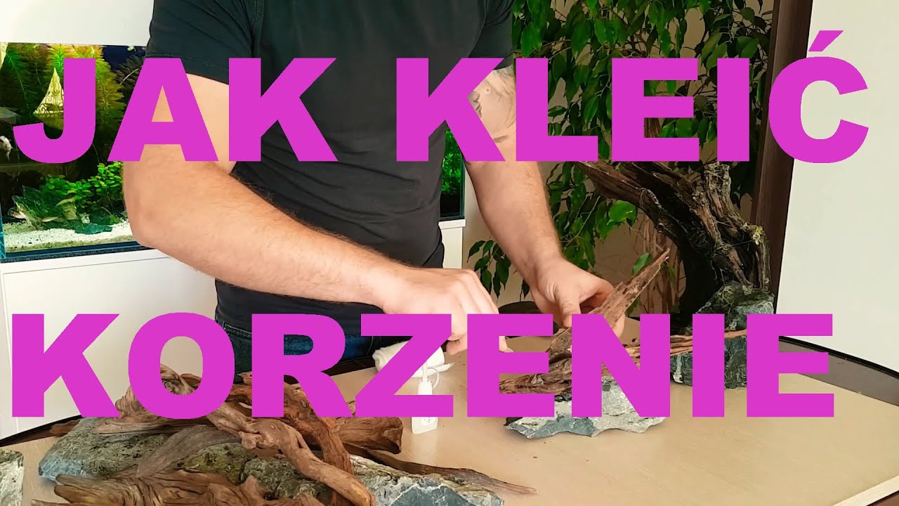 Klejenie aranżacji do akwarium - czyli jak skleić korzenie i kamienie