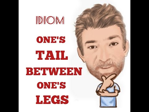 English Tutor Nick P Idioms (451) One's Tail Between One's Legs  - Origin