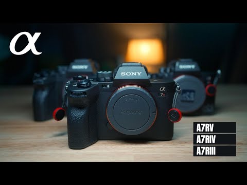 Comparing the Noise on the Sony A7RV, A7RIV, and A7RIII
