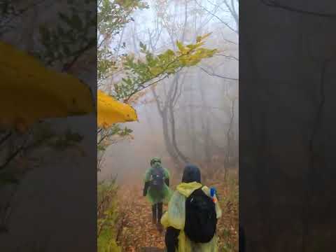 Echo Lake Hike from Overlook Mountain Fire Tower