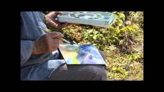 preview picture of video 'Katahdin Plein Air - Katahdin Woods and Waters, Maine'