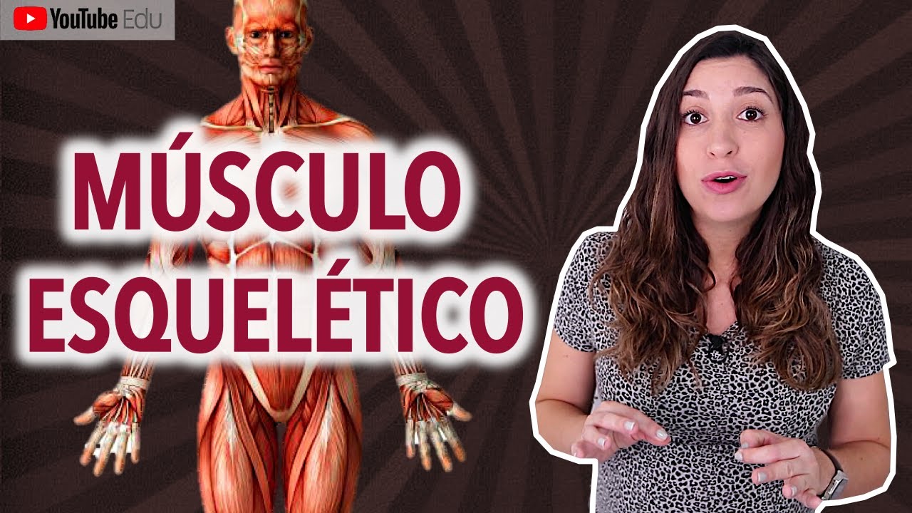 Classificação Morfológica dos Músculos Esqueléticos: Sistema Muscular