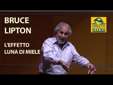 Toro Hammer carta da parati Impotenza negli uomini le malattie