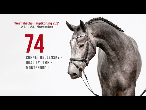 Hauptkörung 2021 Reitpferdehengste Kat-Nr. 74  Cornet Obolensky - Quality Time - Montendro I