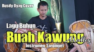Download lagu INSTRUMEN TAROMPET BUAH KAWUNG MEDLEY KEMBANG BEUREUM I RUSDY OYAG COVER mp3