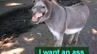 Kalmah interpretation - withering away (misheard lyrics)