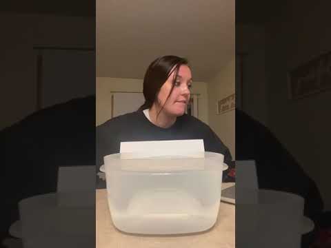 ECE 205 Scientific Method Results